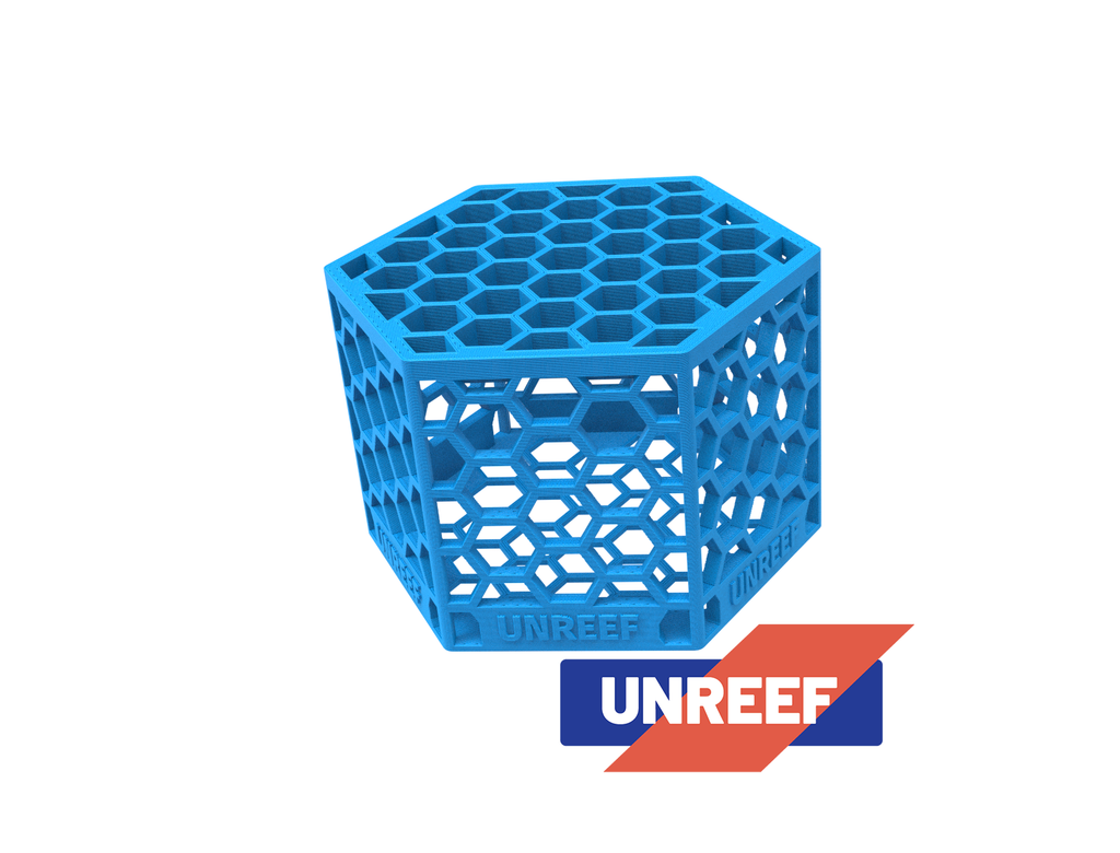 Coral Mushroom Cage