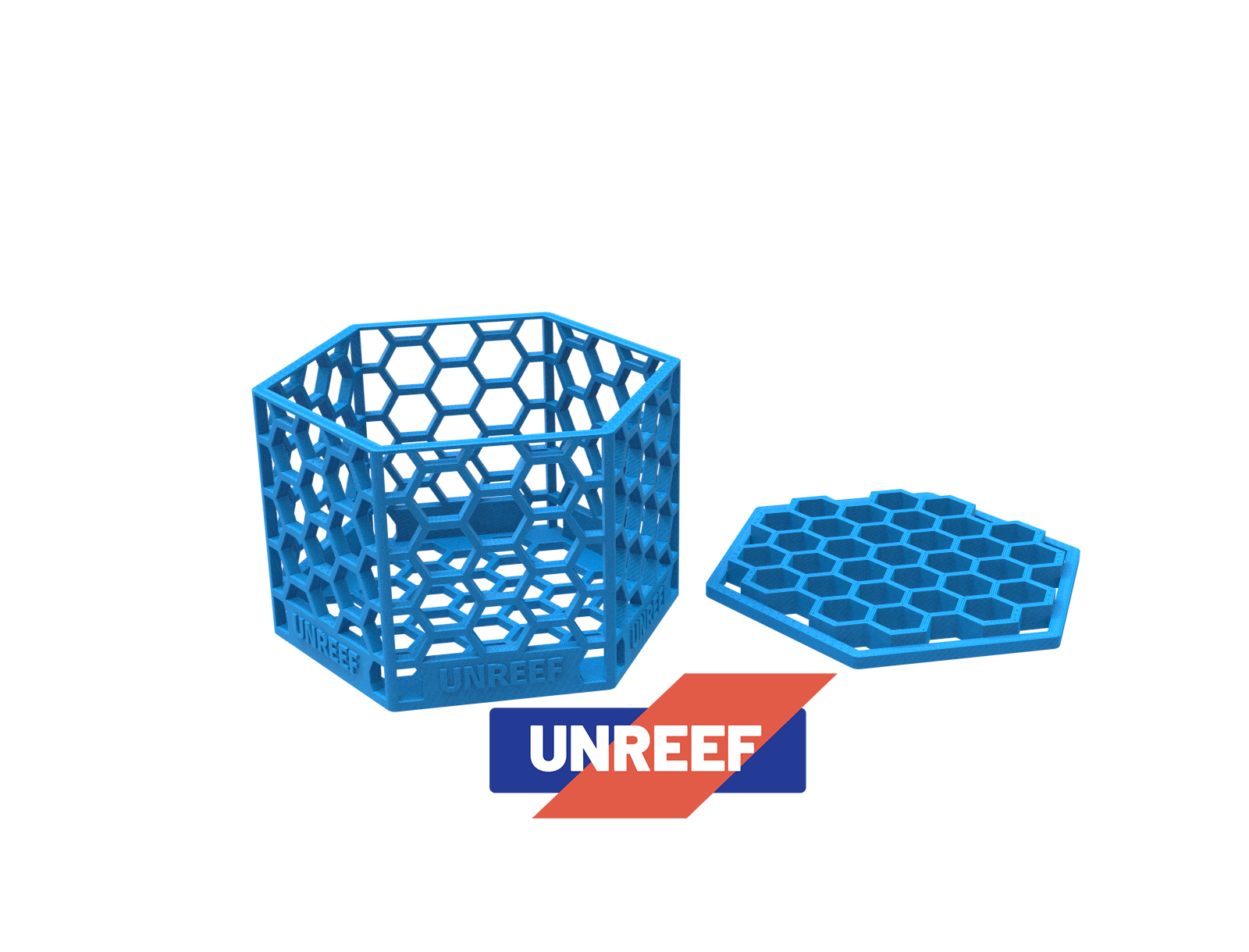 Coral  Mushroom Clam Cage