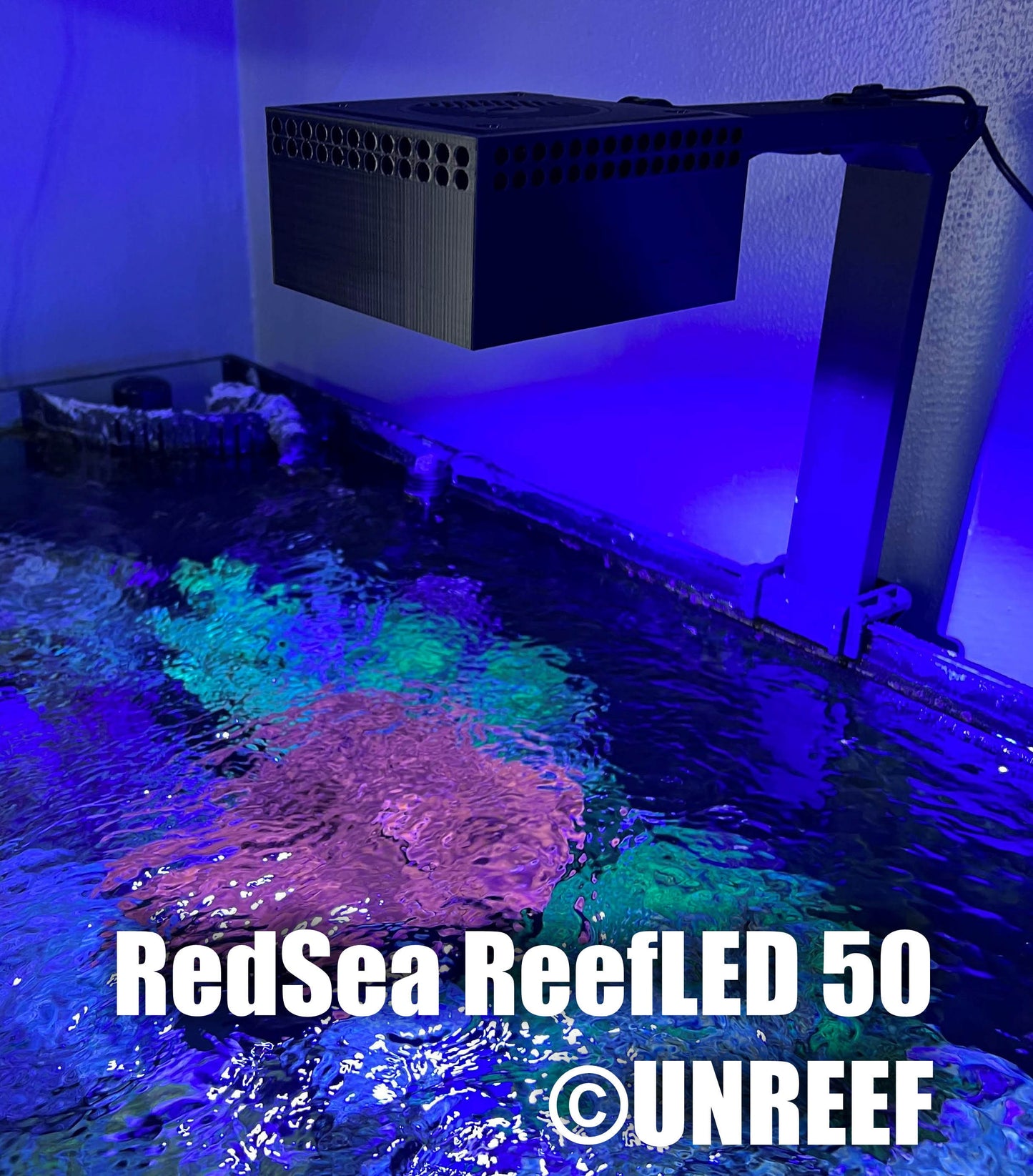 Light Shade for Red Sea ReefLED 50