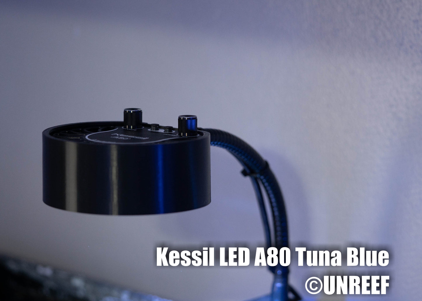 Light Shade for Kessil A80 Tuna Blue